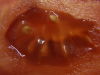 i0440.jpg