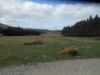 Na terenie Glen Muick (Park N.Cairngorms)