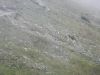 DSCN4690.JPG