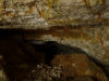 Jaskinia Wilana