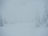 DSCN5465.JPG