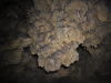 jaskinia-studnisko-2017-DSCN4287.JPG