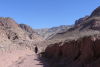 Wadi Dana Trail