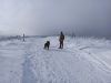 IMG_20211212_110249.jpg