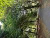 Przez Park lski w Chorzowie