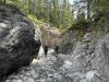 Grotto Canyon