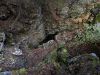 jaskinia-sulmowa-zdjecia-1.jpg